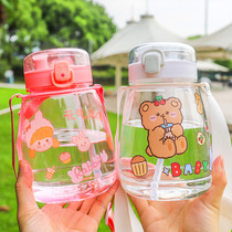 Korean high temperature resistant cartoon double drink plastic cup cute girl portable big belly cup large net red straw water Cup