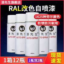 Mr. Lloyer RAL7035 self-painted light gray cabinet electrical box repair touch graffiti hand paint