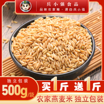 Bing Xiaoqiang Northeast farmhouse oat rice a total of 1000g new rice coarse grain raw wheat wheat naked oat kernel germ germ Rice