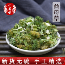 Motherwort Chinese herbal medicine 500g Motherwort tea Fresh motherwort dried motherwort foot soak bag can be powdered