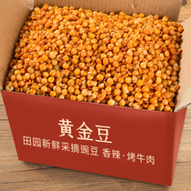 Gold Bean Bean Bean Bean Beef Spicy Spicy Crisp Restaurant Snacks Snacks 5 Jin Whole Box Wholesale