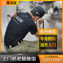 Hangzhou door-to-door capture and kill mice professional insecticidal company Kill cockroaches insects fleas bedbugs termites etc