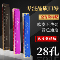Tianyi harmonica 28 holes Professional performance grade Adult child Beginner student introduction Polyphonic c tone Male and female high