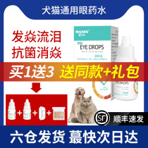 Cat eye potion Cat eye drops Eye drops Eye drops Eye inflammation tears Cats use antibacterial anti-inflammatory pets to remove tears Dogs