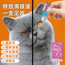 Bo Lili Eye Drops Cats Herpes Calicitis Virus Rhino Ceaked Cat Nasal Branch Treatment of Tearmarks Nasal Drops