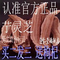 Tibet Ganoderma lucidum orchid Ganoderma lucidum orchid slices (buy 2 hair 3 wild with anti-counterfeiting verification send Wolfberry