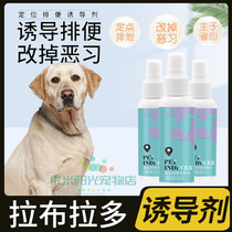 Labrador dedicated pooch Pinpoint Defecation Inducing Agent Dog Defecation on Toilet Spray for Urine Spray