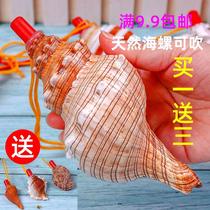 Natural conch horn can blow horn whistle super large conch shell whistle children's toy whistle small snail whistle