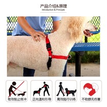 Reflective easywalk Front Traction Explosion-proof Break Break Strap Medium Large Dog Golden Hair Out Dog Rope Chain Walking Dog
