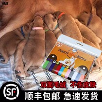 Newborn little dog cat pet identification ring neck identification band identification collar milk dog kitten marking rope