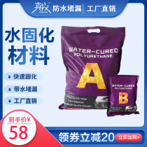 Zhenmu Waterproof high pressure water curing material grouting plugging AB double liquid leakage filling grouting machine acrylate slurry injection slurry
