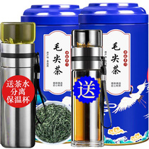 2021 New Tea Maojian Tea Authentic Origin Mingchen Special Sprout Green Tea Bulk Tea 500g