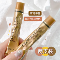 Small gold tube concealer covers acne marks Waterproof covers face spots Scars Tattoos Invisible pores Liquid foundation