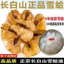 Changbai Mountain Snow Clam Super Jilin Frog Oil Papaya Stew Snow Oil Flagship Store Fresh Dry Tongrentang 20g
