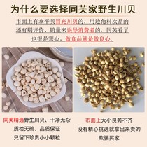 Tong Fu selected Sichuan Fritillaria gift box 50g Sichuan shell powder for snow pear cream Chinese herbal medicine Songbei Fei Pingbei