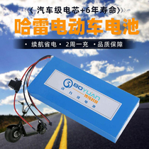Big Harley electric vehicle battery 60v20a12A48v72 Fu Qiniu detachable universal skateboard lithium battery battery