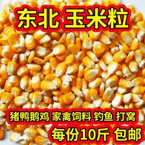Northeast dry corn grain 5kg10kg feed new corn grains fed birds chicken duck goose pig and pigeon fishing bait