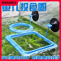 Aquarium small fish tank feeding ring feeder anti-floating guppy fish feed fixed-point feeding ring