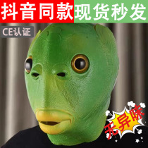  Creative green head fish head mask cute funny funny sand fish head strange green fish net red full face tasteless