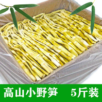 Tianmu Mountain small bamboo shoots dry farm home-made salt bamboo shoots 5kg dry goods special wild tender bamboo shoots tip new flat shoots fresh