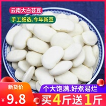 Colorful Navo white kidney beans 500g new goods Yunnan big white beans Baiyun beans White cowpea beans miscellaneous grains