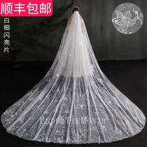 Bride wedding wedding gown veil Super Xiansen Net red photo props Korean long tail flashing veil