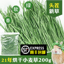  21 stubble new grass Drying wheatgrass Rabbit forage Guinea pig Chinchilla hay Dutch pig feed Rabbit food