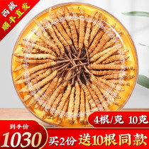 2021 Naqu Xin Dried first period Cordyceps Sinensis 4 grams 10 grams Tibetan cordyceps dry gift box Flagship store