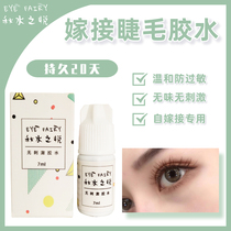 Joy of autumn water grafting eyelash glue Mild and non-irritating not sensitive open your eyes grafting firm and long-lasting natural