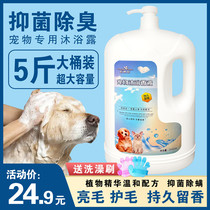 Pet dog shower gel Long-lasting fragrance Golden retriever Teddy cat antibacterial deodorant bath supplies Shampoo vat