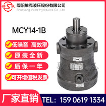 Shaoyang VIC Hydraulic SY-1 25 5 10 25 32 40 63 80MCY14-1EL B axial piston pump