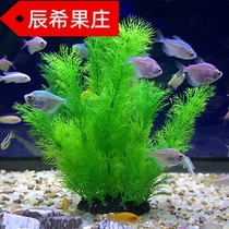 Fish tank water grass large fish pond fake water grass plastic grass simulation high soft plant lawn aquarium decoration landscape
