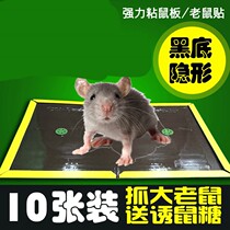 Large board adhesive board adhesive board adhesive paper sticky fly mouse strong glue cockroach sticky mouse catch mouse paste