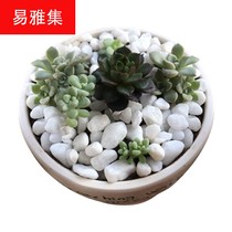 Baolith snow white pebbles white pebbles white pebbles Zen land dry landscape garden white stones