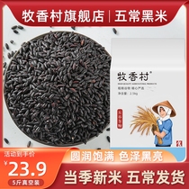 Muxiang Village Wuchang Black Rice 5 Jin Black Rice New Heilongjiang Wuchang Black Fragrant Rice