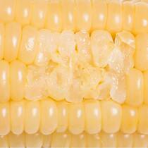 Northeast white sticky Corn 10 vacuum packed fresh corn sweet glutinous corn white sticky stick sticky corn rice non-ready-to-eat