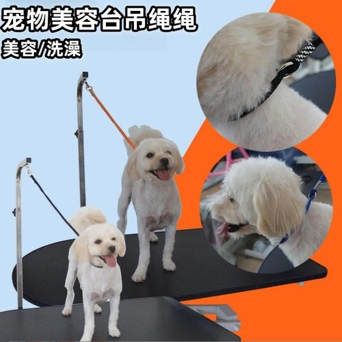 Стол красоты домашних животных посвященные подвешенные собаки стричь волосы привязанная веревка веревка