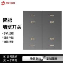 Graffiti zigbee Smart Home Switch Control Panel Mobile Phone Remote Control Tmall Xiao Ai Voice Light Control