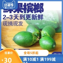 Hainan green betel nut fruit Fresh betel nut freshly picked green boy bulk fruit King raw betel nut green fruit with ingredients