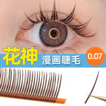 Caramel Color Comics Fairy Lash Graft Fairy Fake Eyelash Single Eyelash 5D Flowers God Beauty Mascara Special