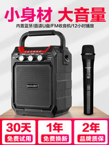 Erhu guzheng guitar violin audio outdoor performance Bluetooth wireless microphone instrument Universal speaker