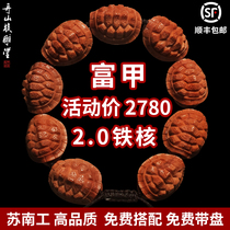 Zhoushan Sunan Gong hand-carved rich world nuclear carving hand string male Lady olive core Wen play tortoise shell bracelet