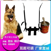 Dog standing ear artifact ear ear artifact Doberman Doberman orthosis small dog special puppy ear patch