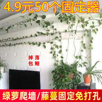 Green Luo climbing wall artifact holder climbing wall fixing clip traction fixing green planting belt adhesive indoor non-trace buckle