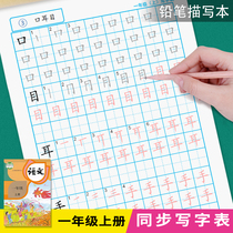 Primary school students first grade first volume Chinese synchronous writing table strokes and strokes.