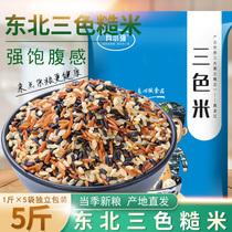 Three-color brown rice new rice 5kg grains red rice black rice rough rice coarse grain fitness germ 10kg fat reduction Rice