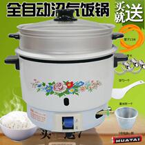 Energy-saving automatic thermal insulation rice cooker household biogas rice cooker rice cooker 2 liters biogas rice cooker rural fermentation fecal gas