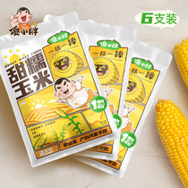 Silly fat fat corn open bag ready-to-eat low-fat meal replacement 2021 fresh fast food vacuum sweet waxy sticky cooked yellow corn cob Bud