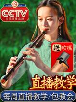 Professional performance of white printed purple bamboo cave flute adult beginners zero basic introduction Xiao musical instrument six or eight holes GF tuning Xiao