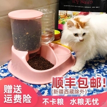 Dog bowl cat food Basin drinking fountain cat supplies automatic feeder cat dog double bowl two-in-one pet feeder